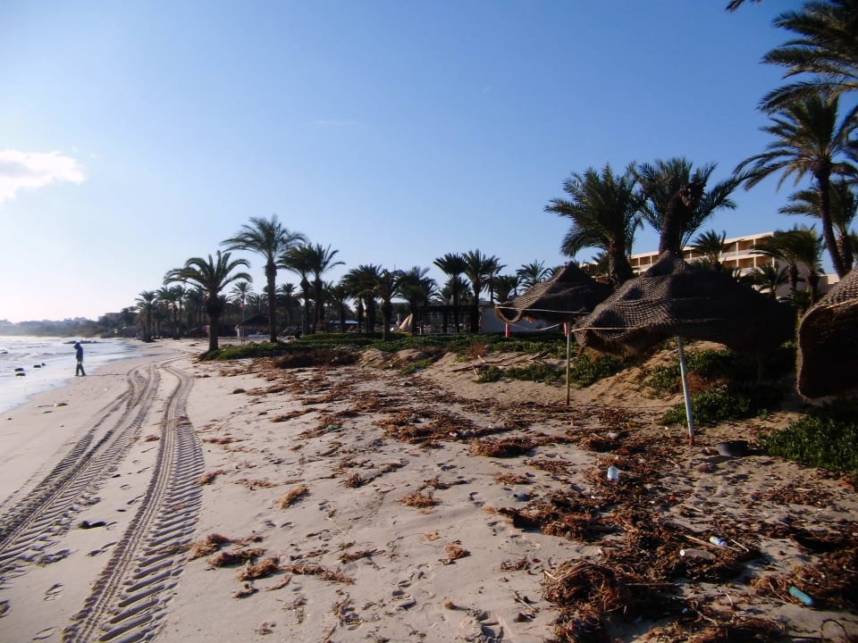 War io. Marhaba Royal Salem