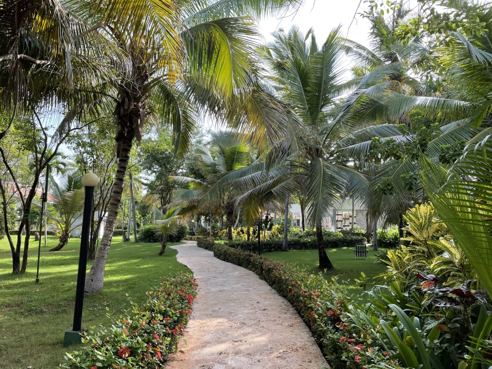 Gartenanlage Wyndham Alltra Samana