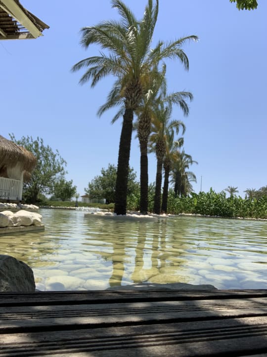 Ausblick TUI BLUE Tropical