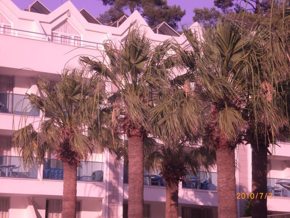 Schöne Palmen Turunc Resort Hotel