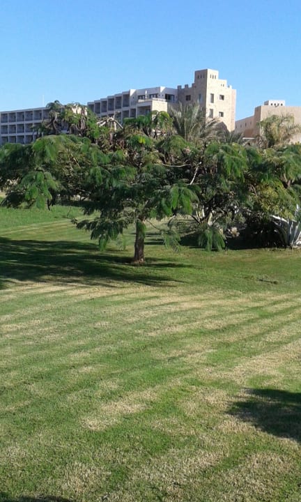 Wunderschöner Baum Jaz Makadi Gardens - TUI BLUE Makadi Gardens - Adults Friendly 16 Years Plus