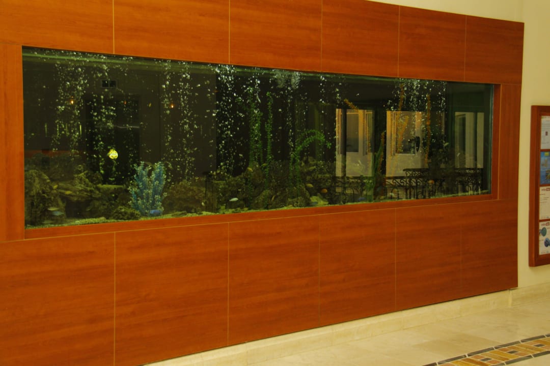 Schönes Aquarium  PALOMA Perissia