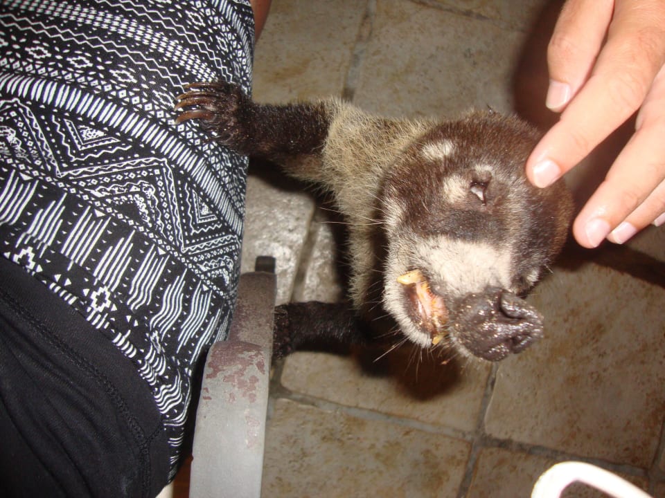 Hotel Catalonia Playa Maroma Catalonia Playa Maroma