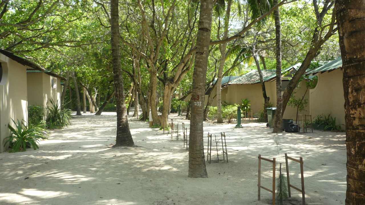 Die Strandbungis von Hinten Summer Island Maldives