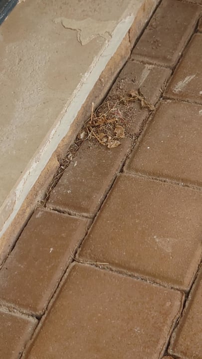 Zimmer Meliá Laguna Beach