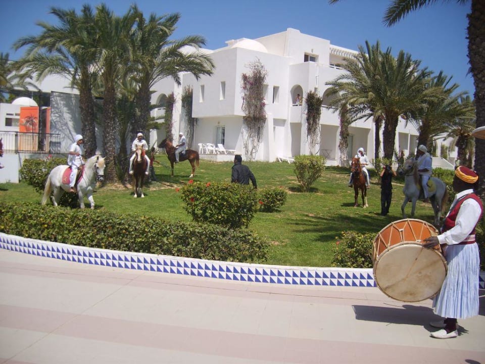 Reiterspiele Hotel El Mouradi Djerba Menzel