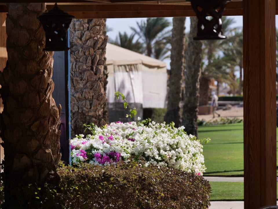 Gartenanlage Stella Beach Resort & Spa Makadi Bay