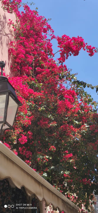 Gartenanlage Anemos Luxury Grand Resort