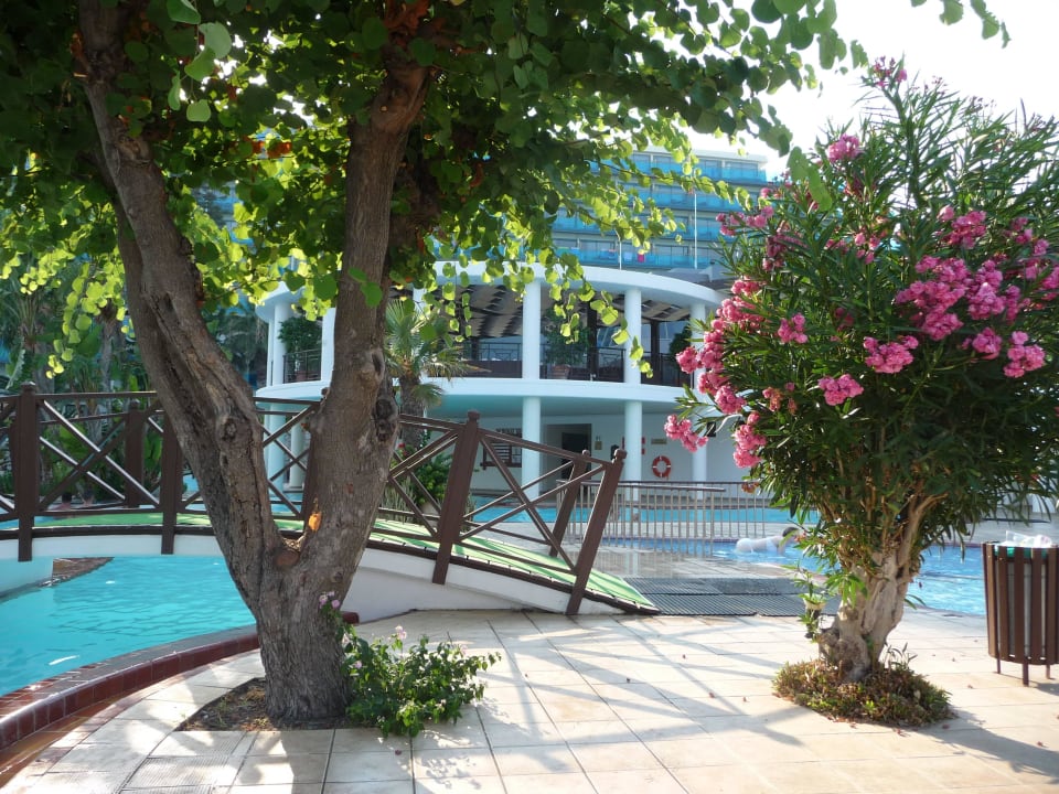 Beim Pool Hotel Calypso Beach