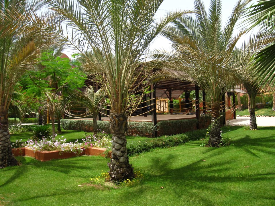 Garten TUI MAGIC LIFE Redsina Sharm El Sheikh