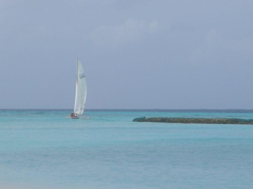 Alleine Summer Island Maldives