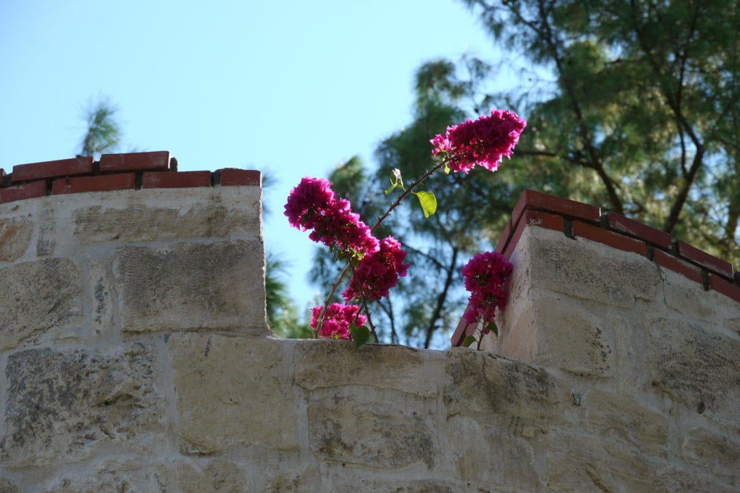 Hoteleingang Turm Ulusoy Kemer Holiday Club