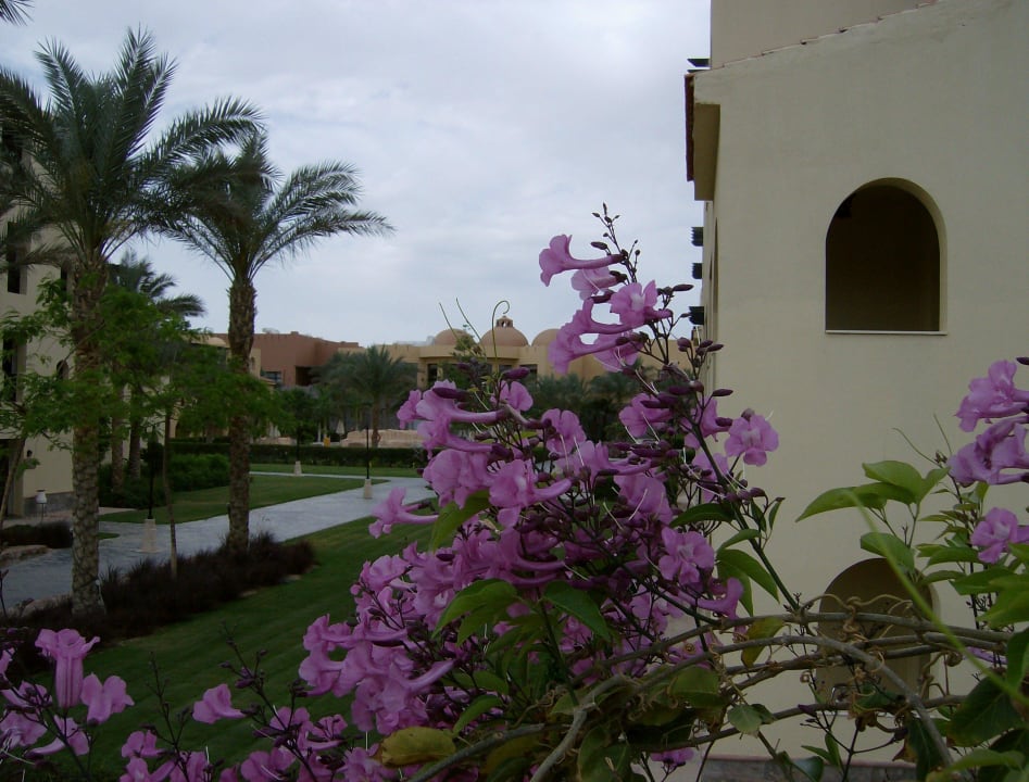 Из номера отеля. Stella Garden Resort & Spa, Makadi Bay