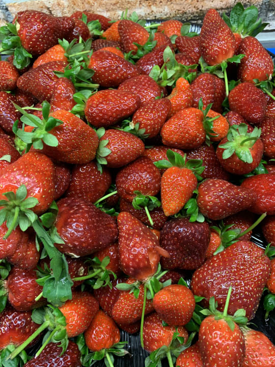 Gastro The Land of Legends Kingdom Hotel