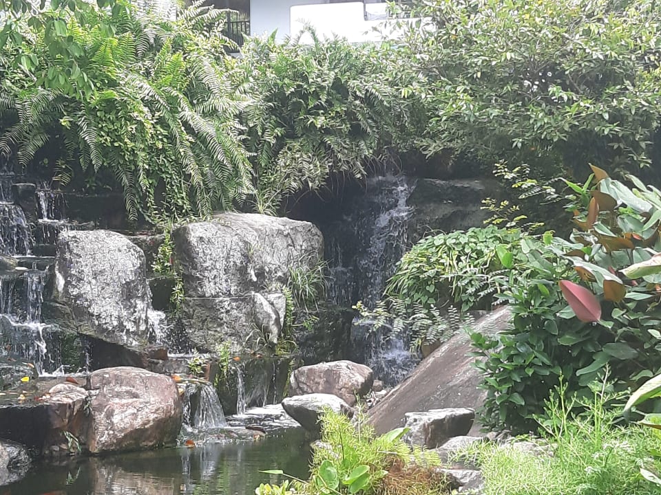 Gartenanlage Eden Beach Resort & Spa, A Lopesan Collection Hotel