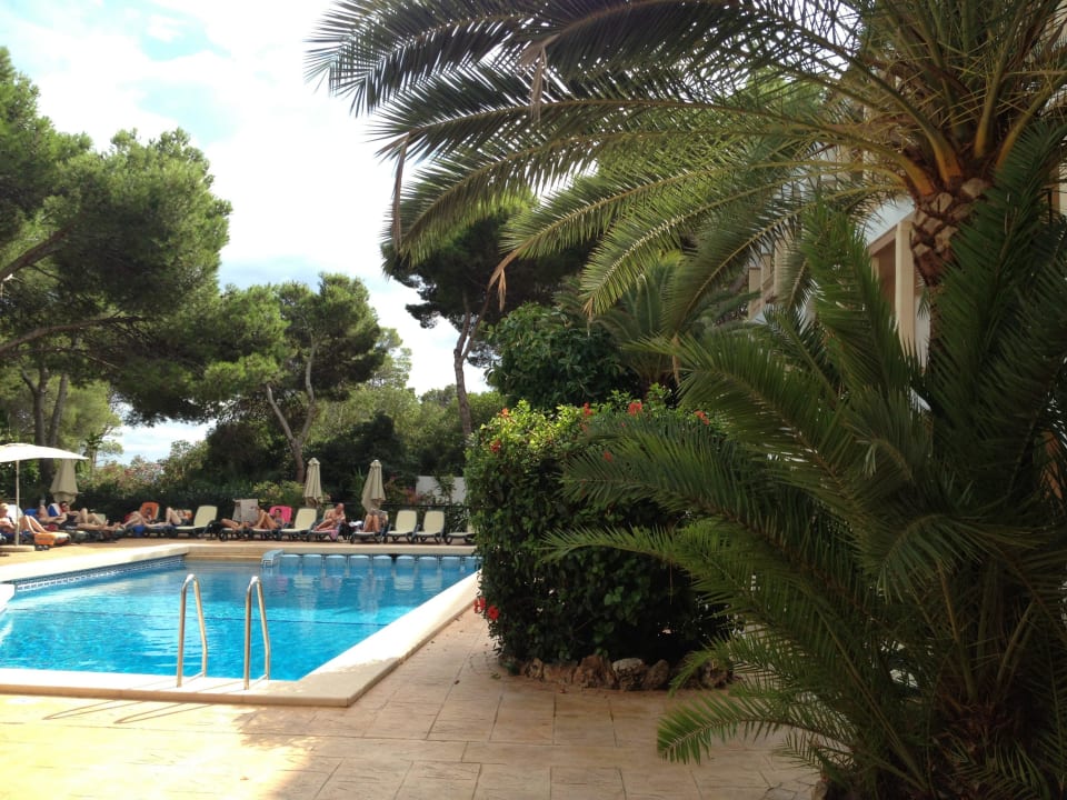 Pool Hotel Cala Gat