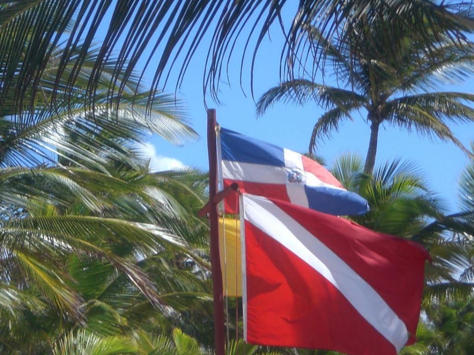 Flagge Hotel Riu Palace Punta Cana