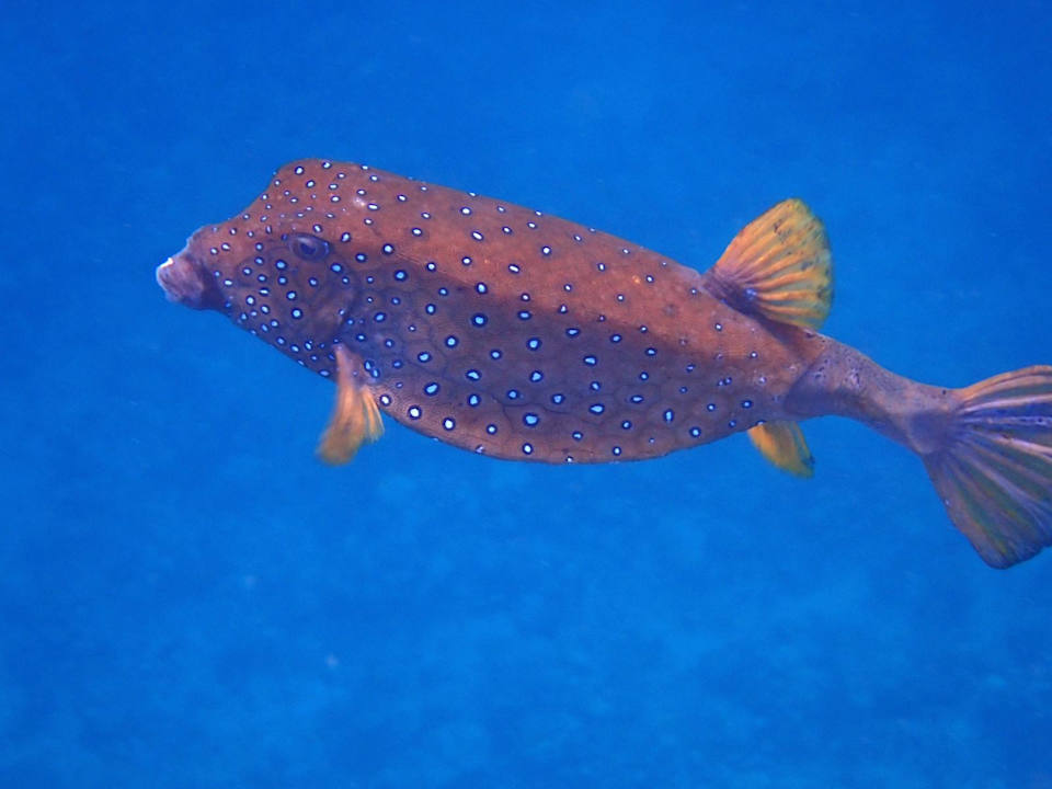 Strand Three Corners Happy Life Beach Resort