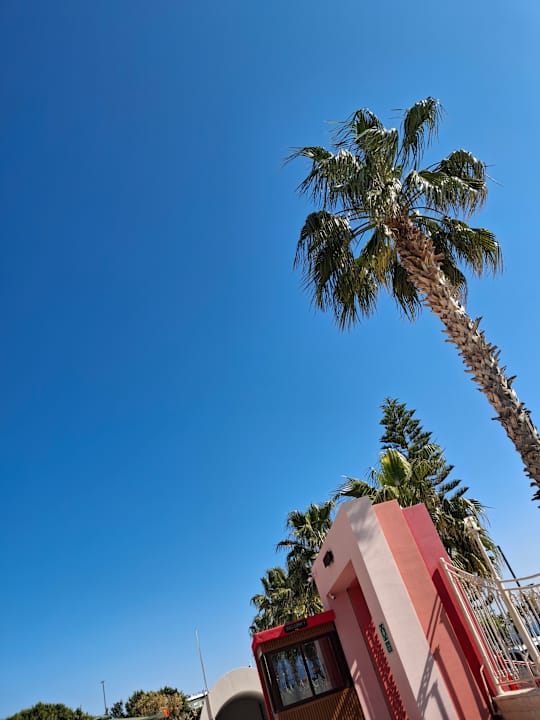 Pool Megasaray WestBeach Antalya