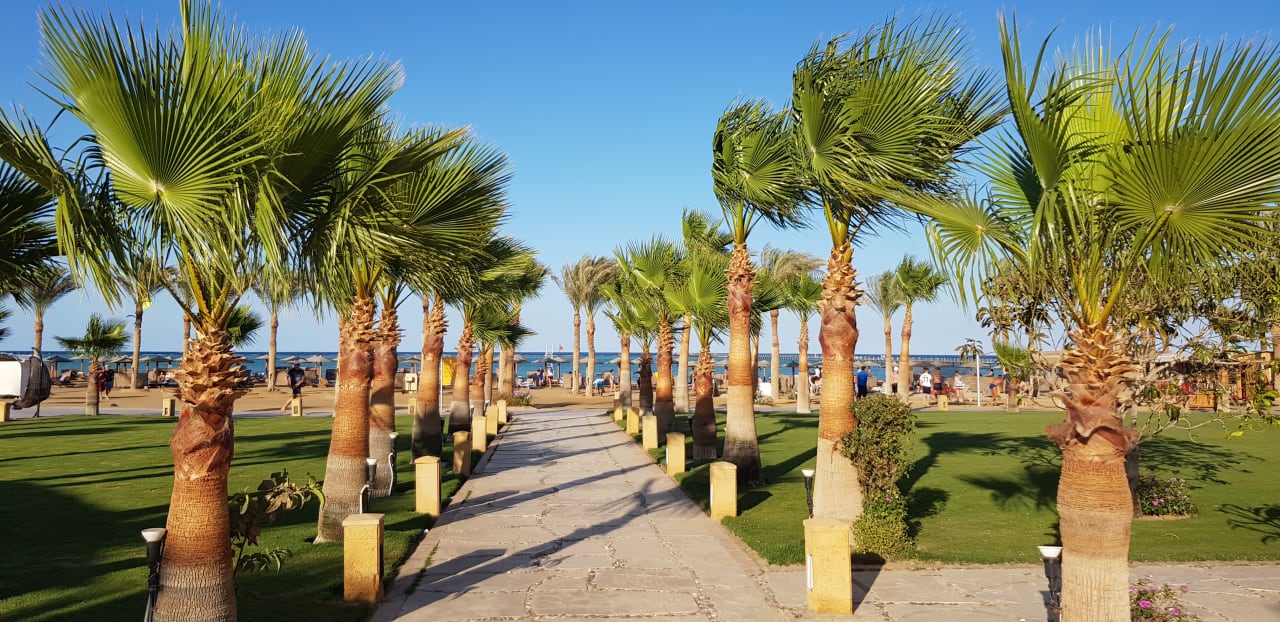 Gartenanlage Casa Mare Resort