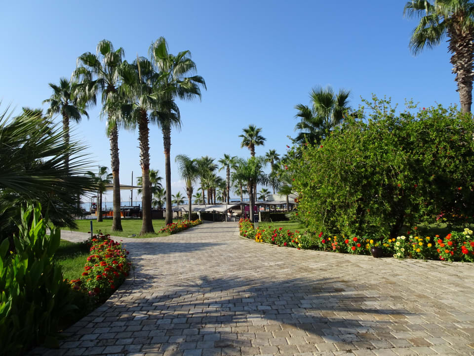 Gartenanlage TUI BLUE Palm Garden