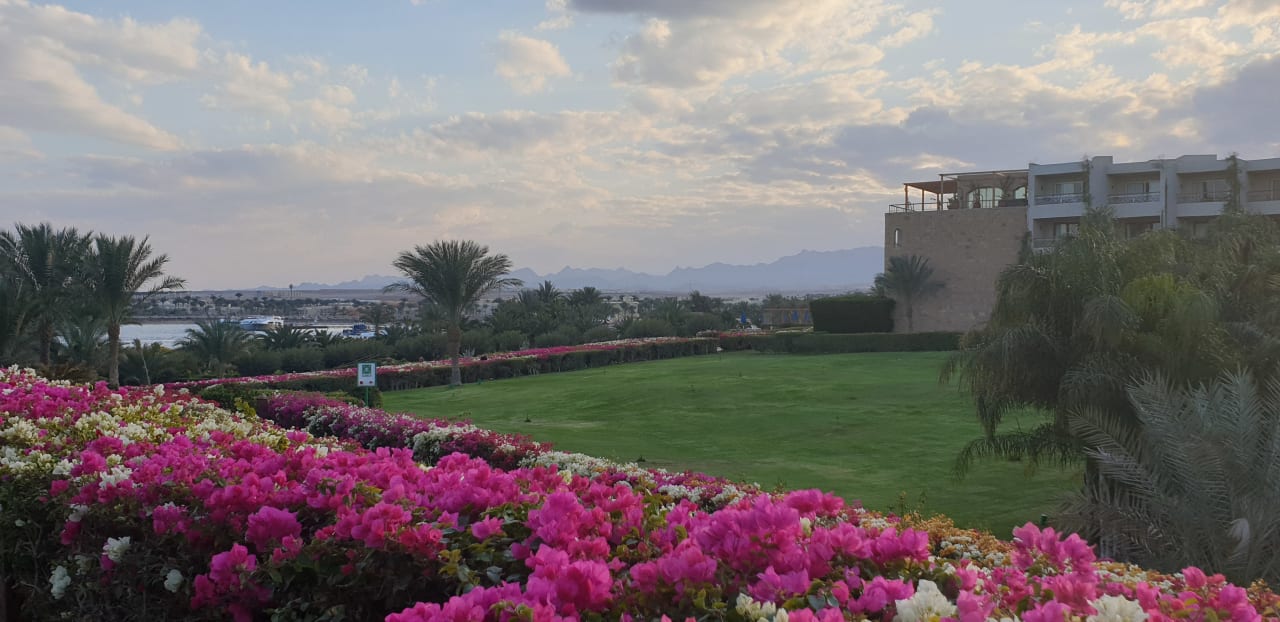 Ausblick Fort Arabesque Resort, Spa & Villas