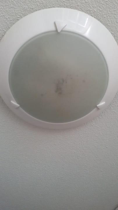 Zimmer Ferienpark Landal Hunerwold State