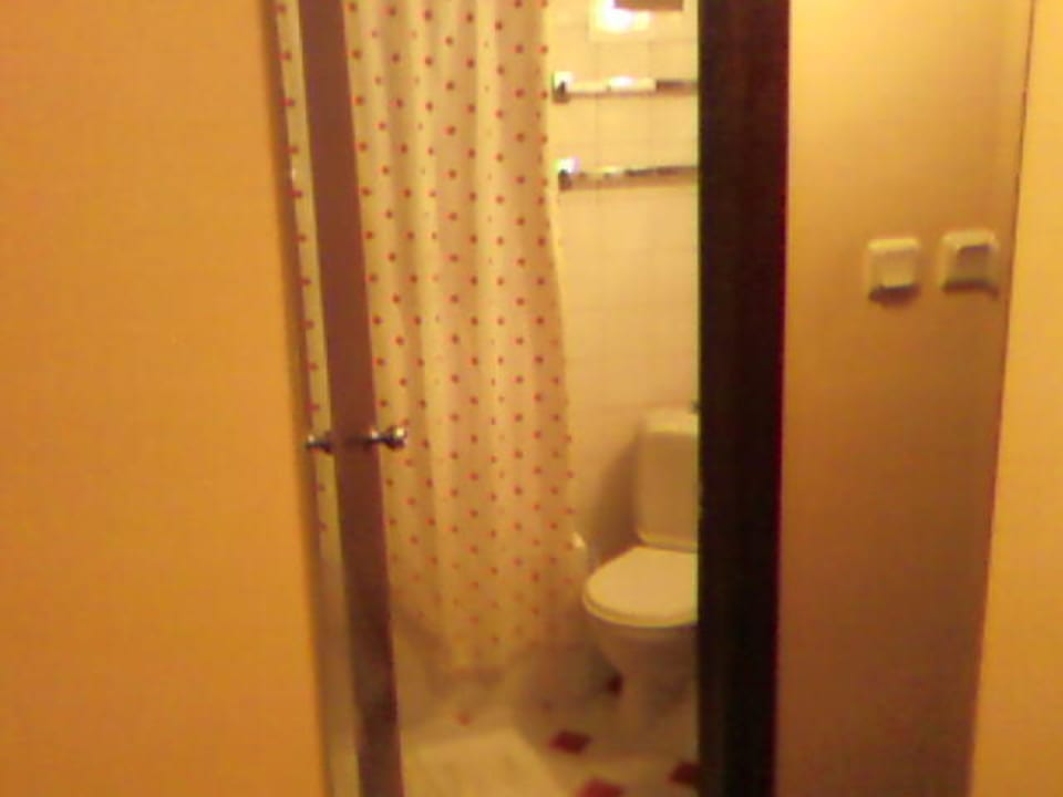 Dusche/WC Hotel Sesin