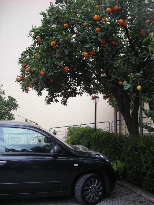 PKW Stellplatz hinter dem Hotel Hotel Diana Pompei