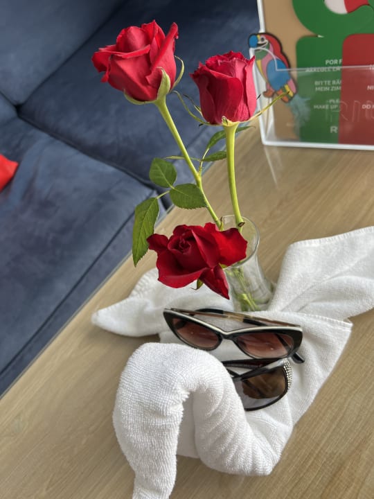 Zimmer Hotel Riu Palace Palmeras