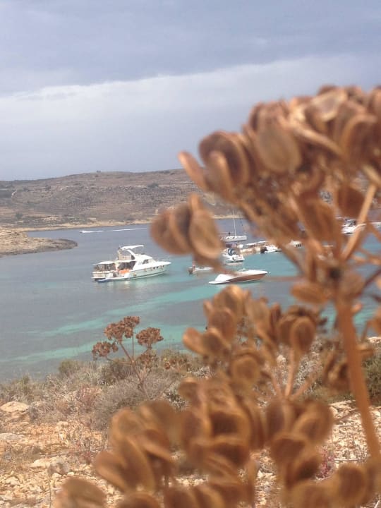 Vor dem Hotel Comino Hotel & Bungalows