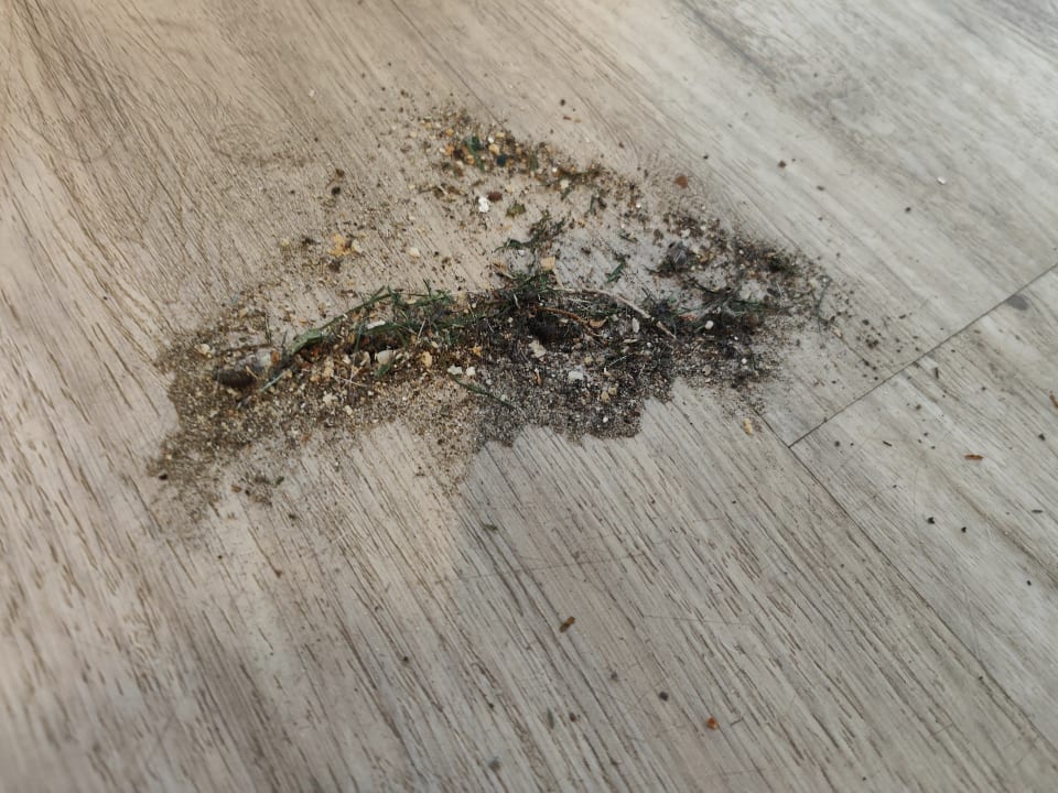 Zimmer Center Parcs Park De Haan