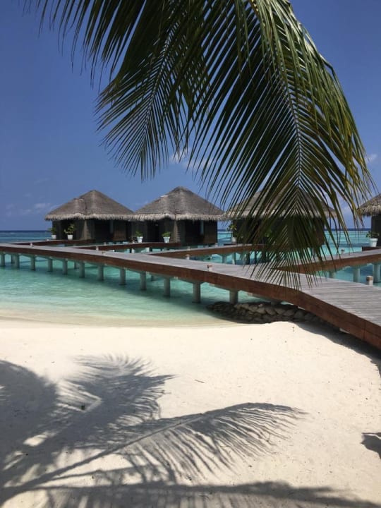 Strand LUX South Ari Atoll