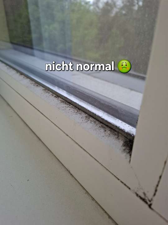 Zimmer Best Western Plus Amedia Art Salzburg