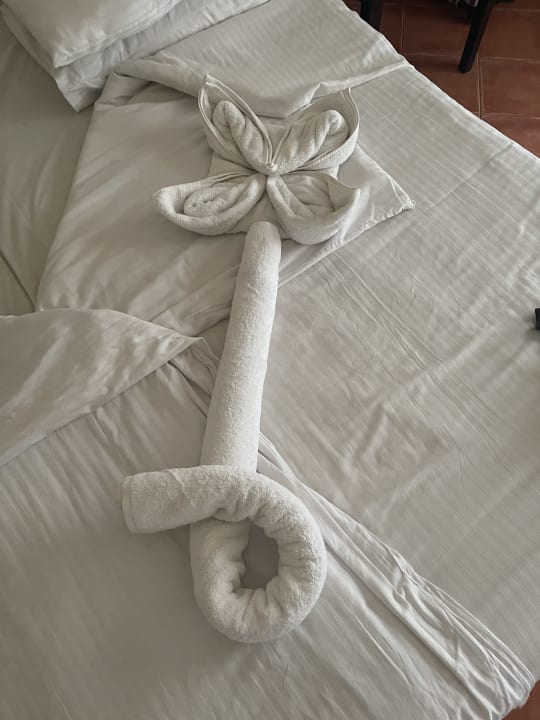 Zimmer Three Corners Sea Beach Resort