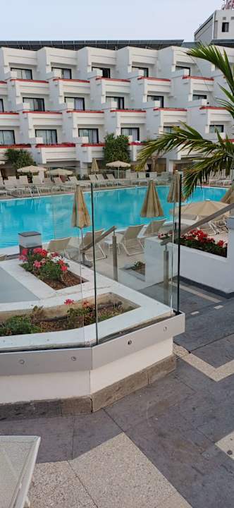 Pool Alexandre Hotel Gala