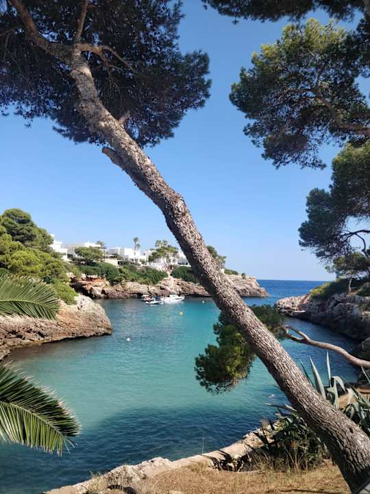 Ausblick Inturotel Esmeralda Park