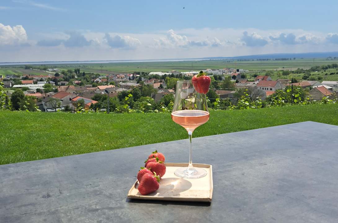 Gartenanlage Weingut & Gästehaus zum Seeblick - Familie Sattler