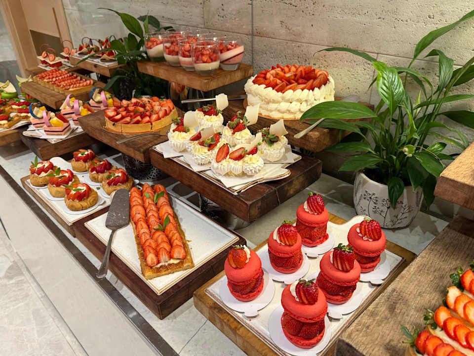 Gastro Acanthus Cennet Barut Collection