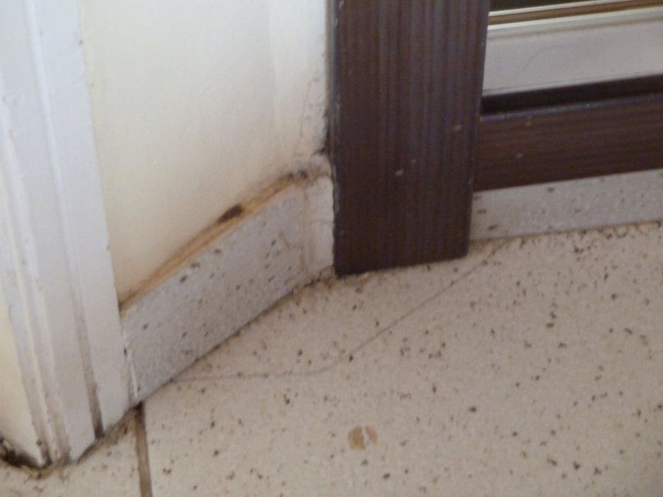 Fussleiste Apartments Las Tres Palmeras