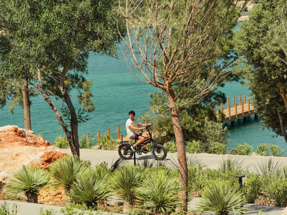 Gartenanlage Anda Barut Collection