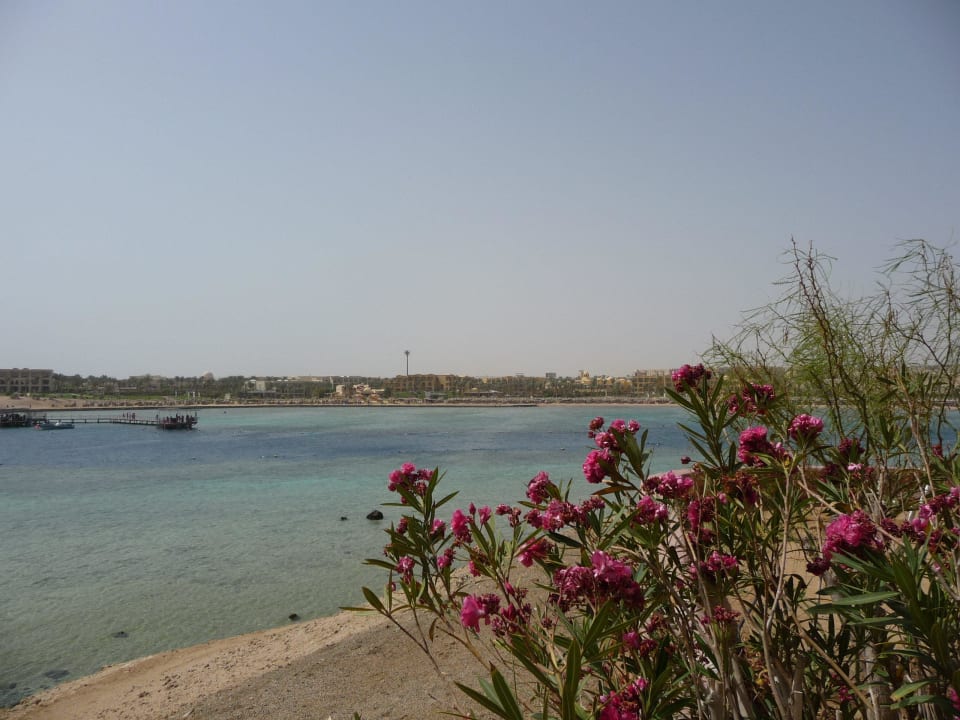 Toller Ausblick auf die Bucht Steigenberger Coraya Beach - Adults only