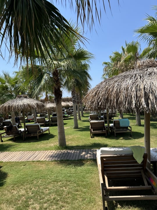 Gartenanlage Rubi Platinum Sign