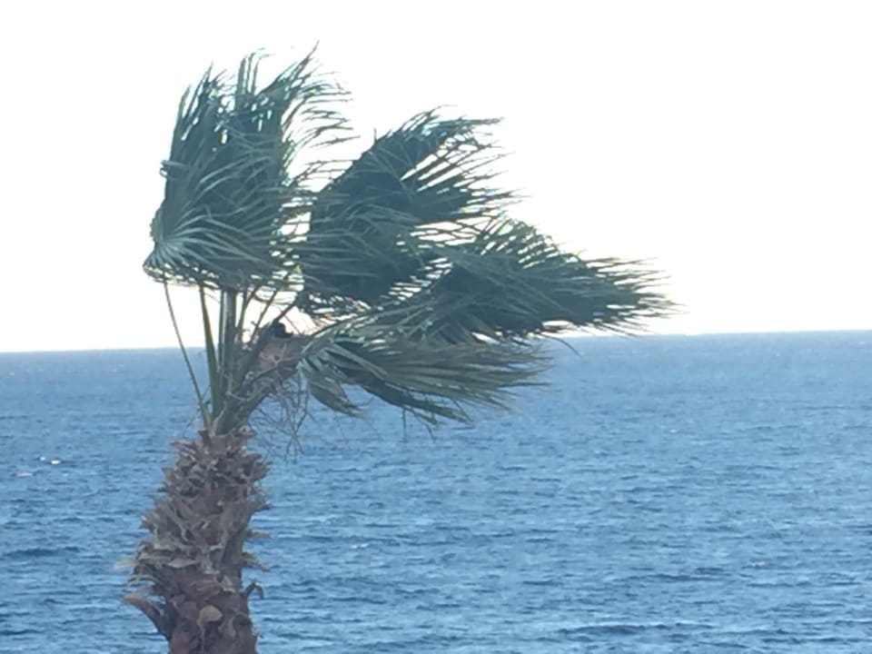 Strand Pickalbatros Citadel Resort