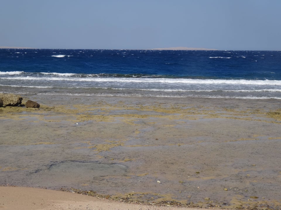 Strand 2 bei Ebbe Pickalbatros Citadel Resort