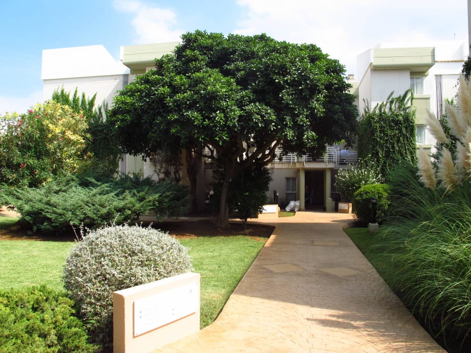 Garten zwischen den Wohnblocks Hipotels Mediterraneo Club