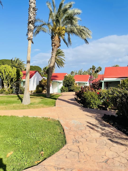 Gartenanlage Aldiana Club Fuerteventura