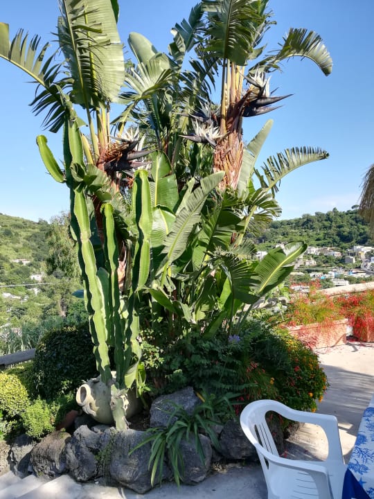 Gartenanlage Hotel La Luna