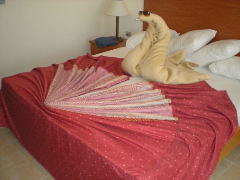 Pokój Riviera Aqua Park Resort