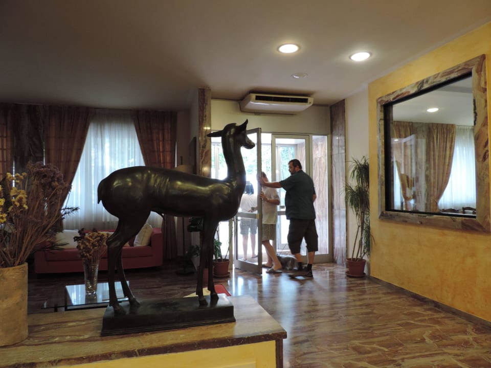 Recepce - vstupní hala Hotel Corolle